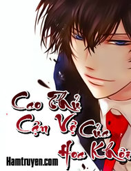 Truyện tranh Cao Thủ Cận Vệ Của Hoa Khôi - TruyenQQ