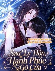Truyện tranh Sau Ly Hôn, Hạnh Phúc Gõ Cửa - TruyenQQ